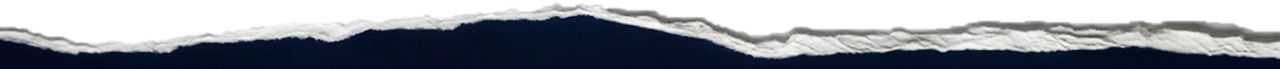 Wave Top